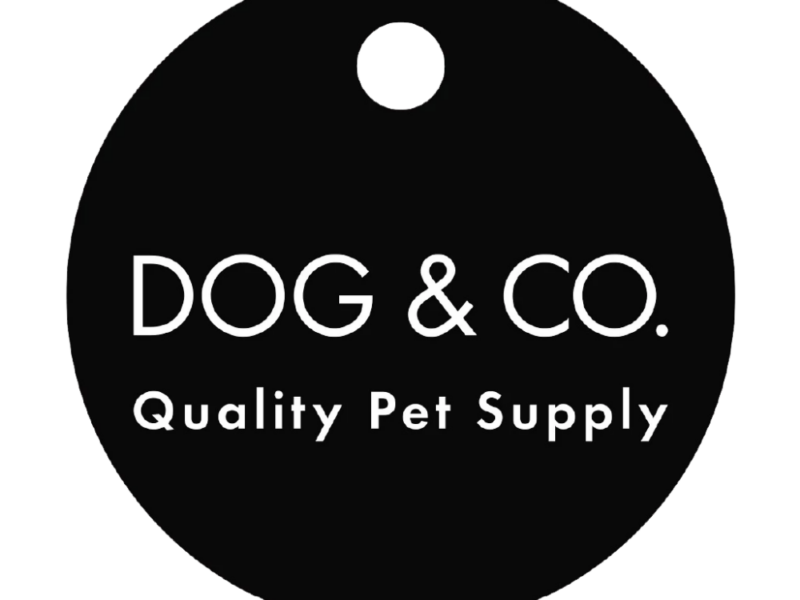 A Photo of Top Dog Shows https://showcaseschool.co/wp-content/uploads/2023/07/Dog-Competitions-Canine-Events-Top-Dog-Shows-Champion-Dog-Contests-Canine-Championships-3a8102c8.png