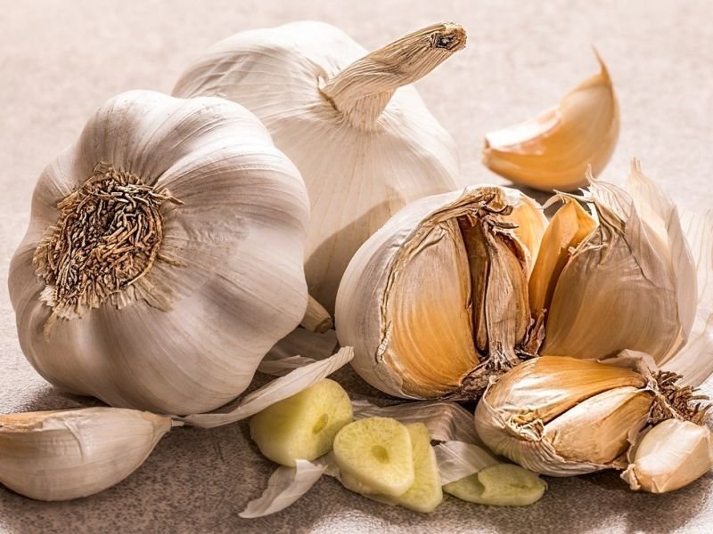 Picture related to battle of the chefs https://showcaseschool.co/wp-content/uploads/2023/07/cooking-competitions-culinary-contest-gourmet-cookoff-iron-chef-challenge-top-chef-cook-off-masterchef-competition-culinary-contest-food-network-cook-off-chef-wars-battle-of-the-chefs-international-cooking-championship-Food-Cooking-b011898d.jpg