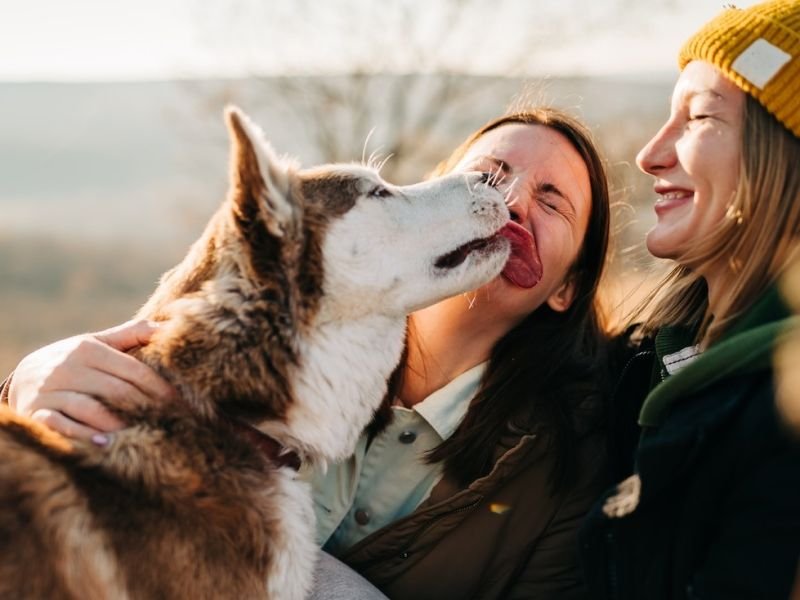 Check Out animal lovers https://showcaseschool.co/wp-content/uploads/2023/08/animal-competitions-pet-talent-shows-bird-singing-contests-exotic-animal-competitions-animal-welfare-entertainment-animal-lovers-competitive-TV-Website-Content-ce8f1503.jpg