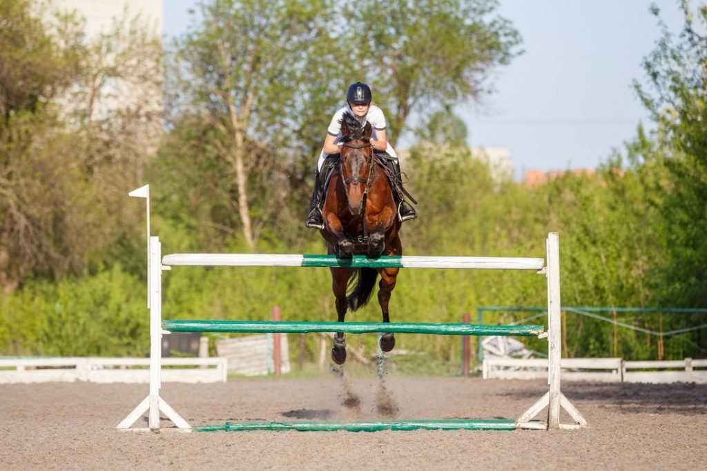 Experience The Eventing Competitions