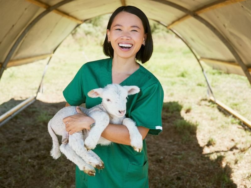 Check Out animal well-being https://showcaseschool.co/wp-content/uploads/2023/08/farm-animals-livestock-agricultural-heritage-animal-competitions-farming-practices-livestock-farming-animal-well-being-industrial-animal-agriculture-agriculture-c051d5fc.jpg