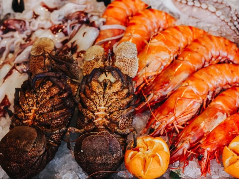 Check Out global cuisines https://showcaseschool.co/wp-content/uploads/2023/09/international-cuisine-clash-culinary-clash-global-culinary-traditions-cooking-challenges-taste-combinations-culinary-experiences-fanbase-loyal-following-scrumptious-dishes-global-cuisines-cooking-competition-cooking-b3e0d61c.jpg